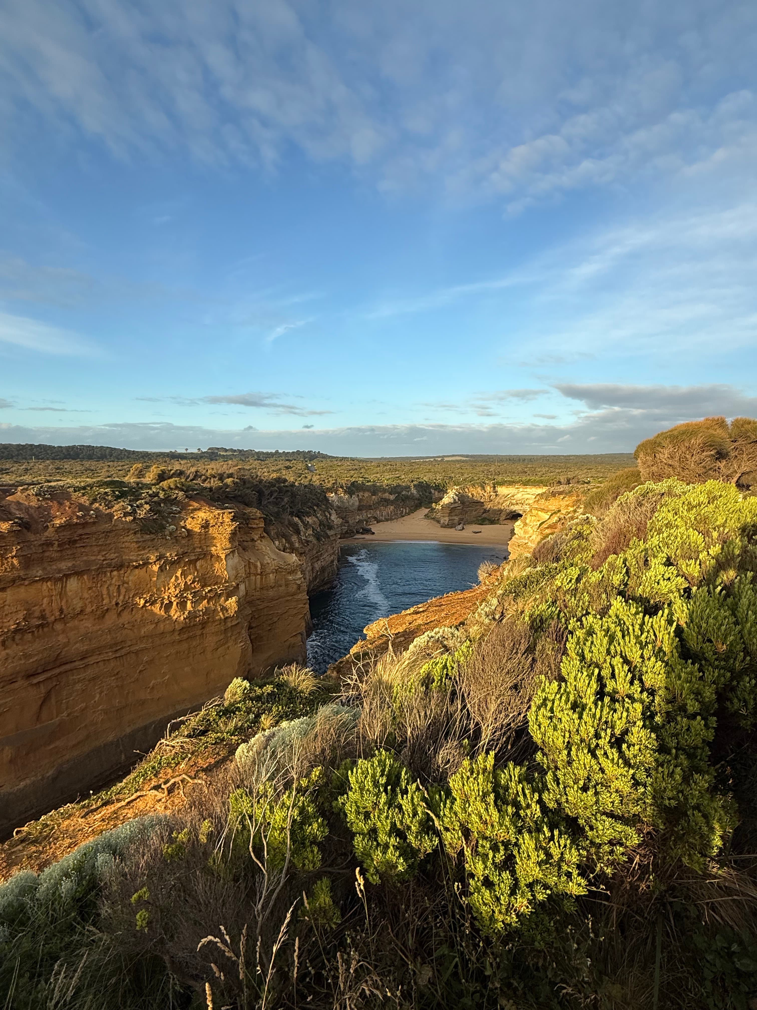 Coastal scrub lit low and gold, with sandstone cliffs and a small cove beyond