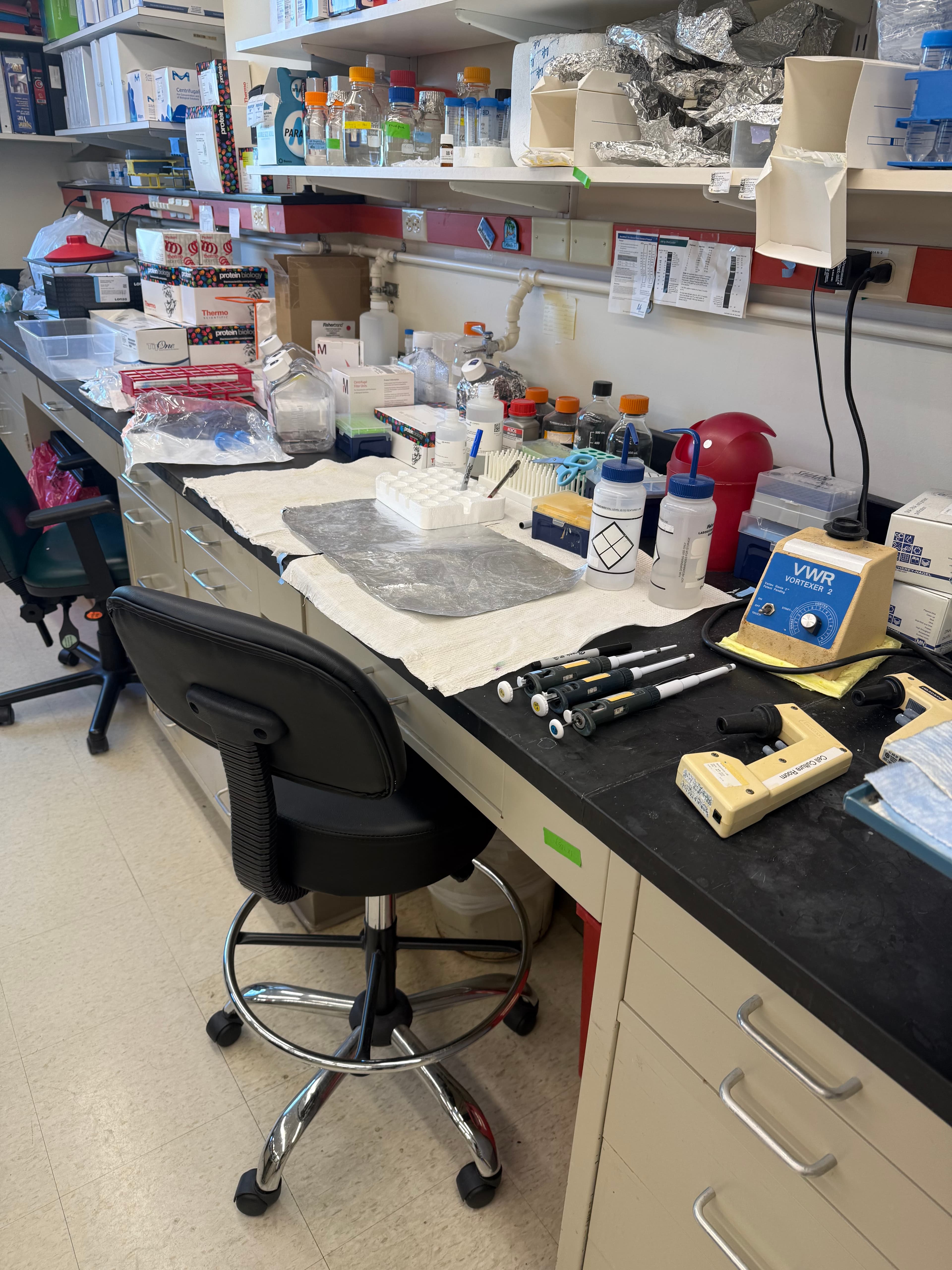 A laboratory bench with pipettes lined up, a vortexer, reagent bottles and stacked supply boxes